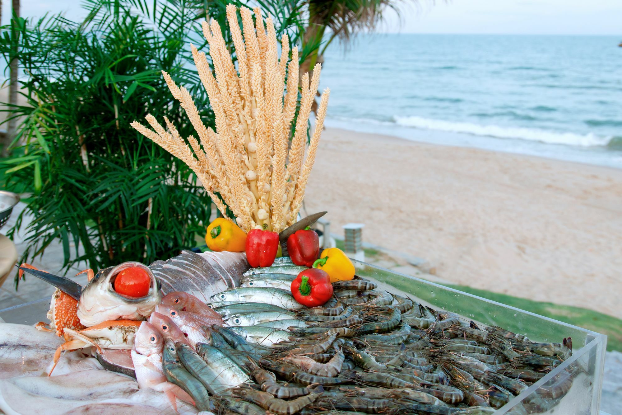 Villa Del Sol Beach Resort & Spa Phan Thiet Luaran gambar